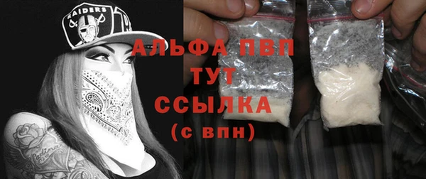 крисы Белокуриха