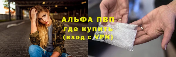 крисы Белокуриха