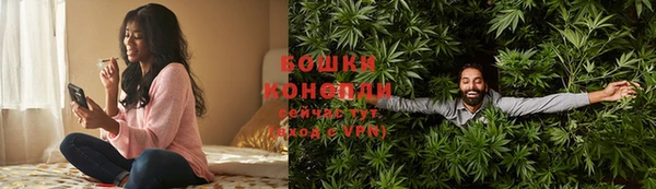 крисы Белокуриха